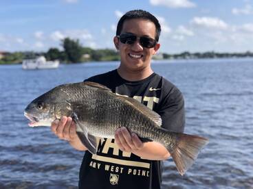 Sarasota Report Photo 2