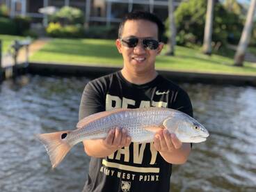 Sarasota Report Photo 1