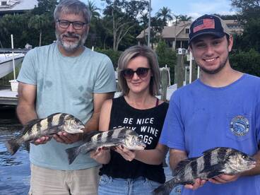 Sarasota Report Photo 2