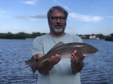 Sarasota Report Photo 1