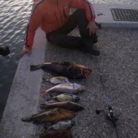 good day with slow jigging and inchiku