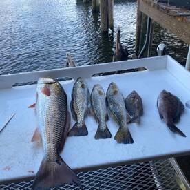 Crystal River Report Photo 2