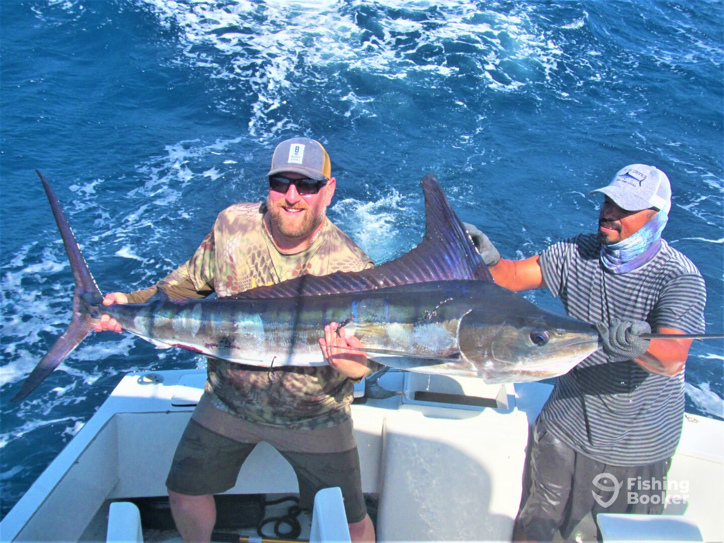 Cabo San Lucas Report Photo 0