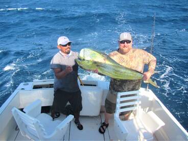 Cabo San Lucas Report Photo 2