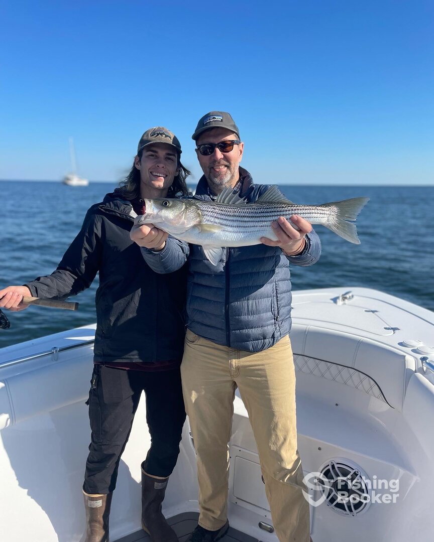 Solomons Report Photo 0