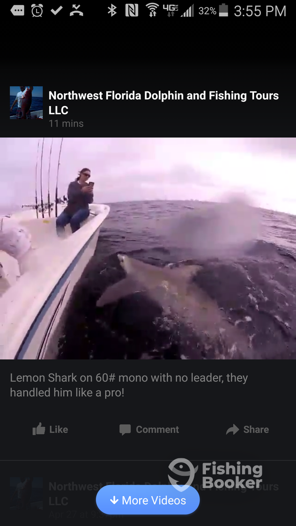 Panama City Beach Report Photo 0