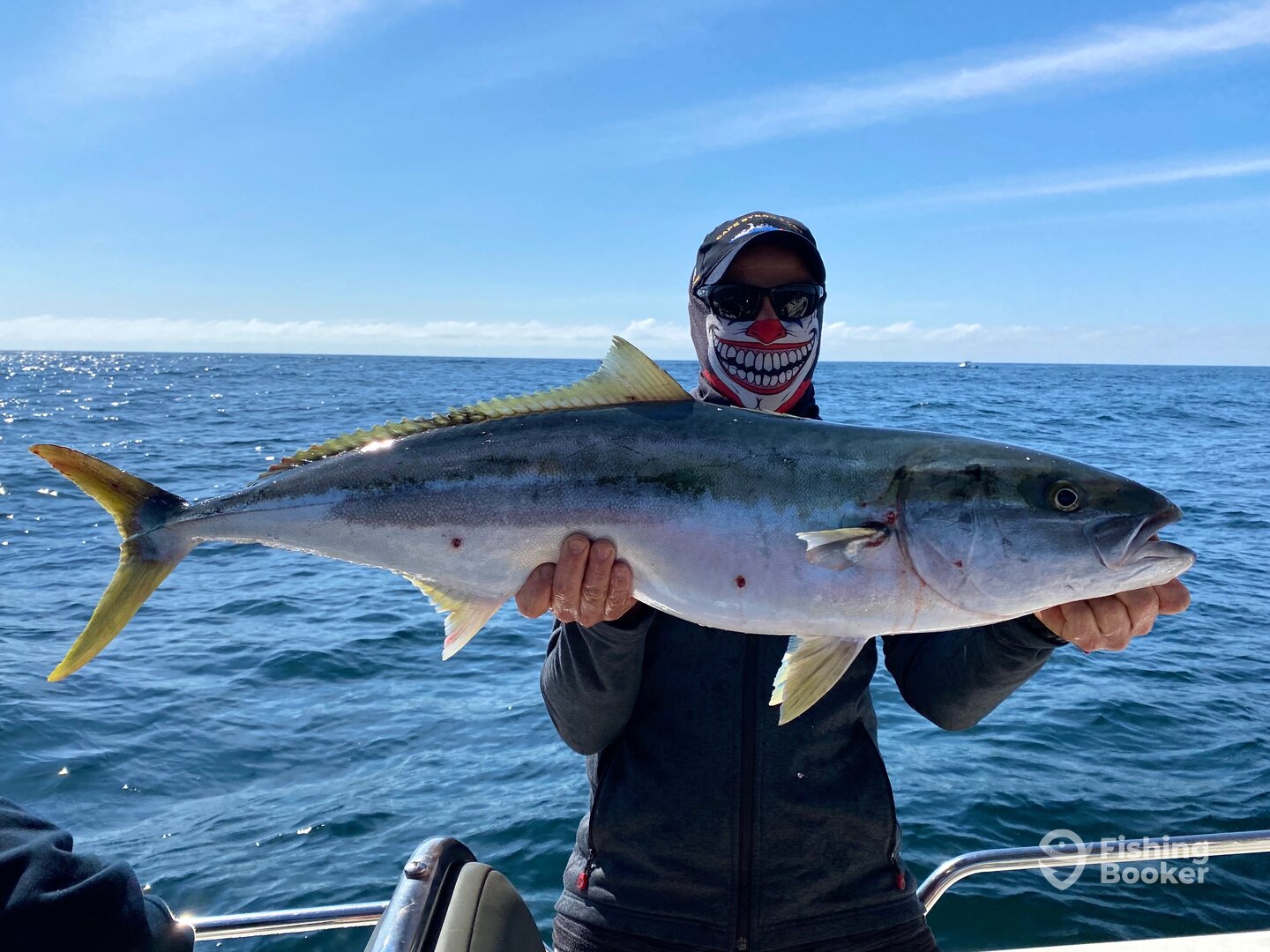 Sydney Report Photo 0