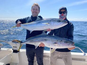 Sydney Report Photo 2