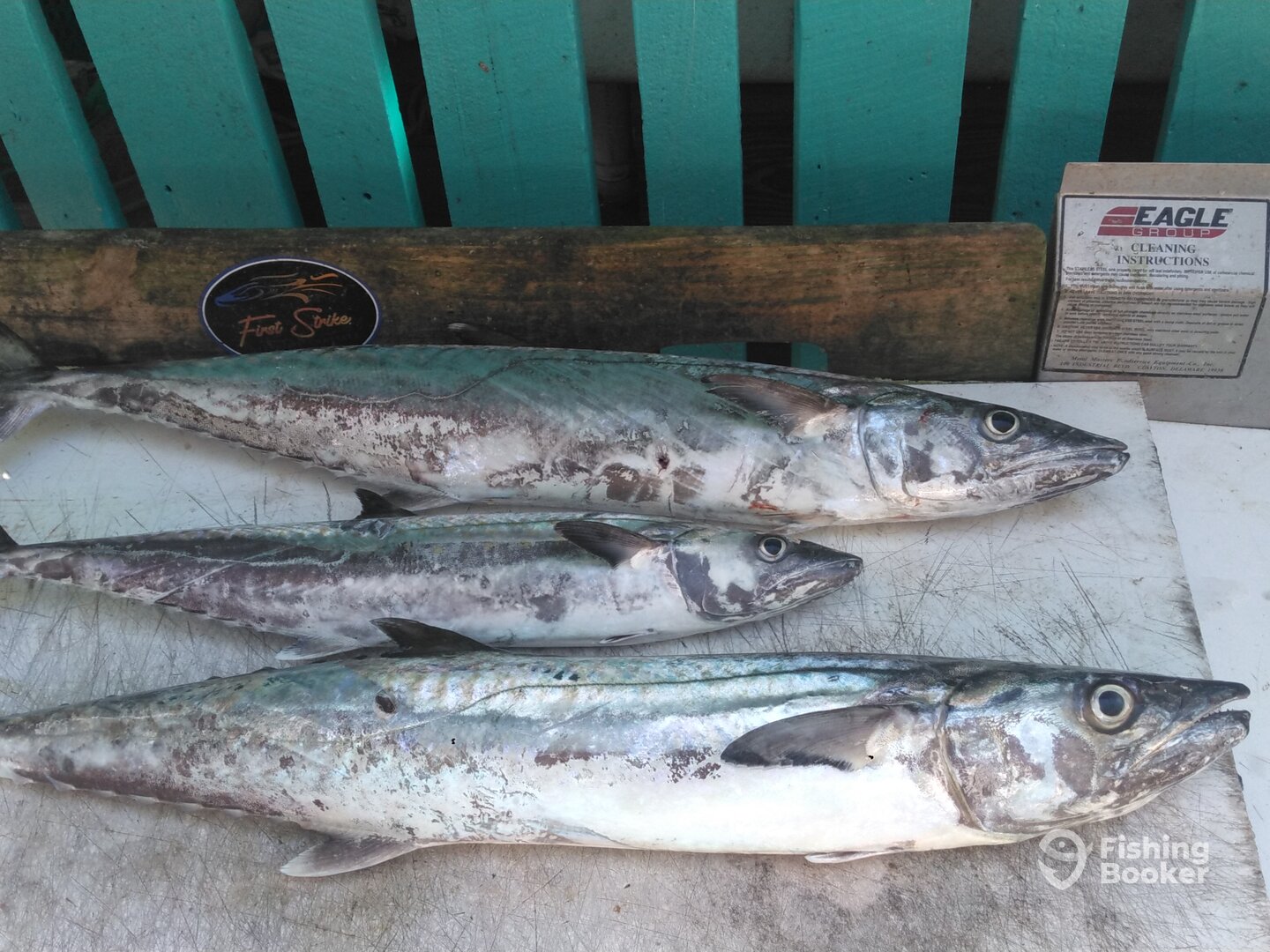 Murrells Inlet Report Photo 0