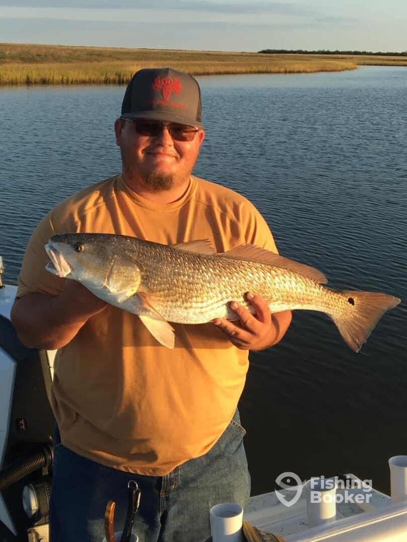 Port O'Connor Report Photo 0