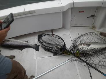 New York City Report Photo 1