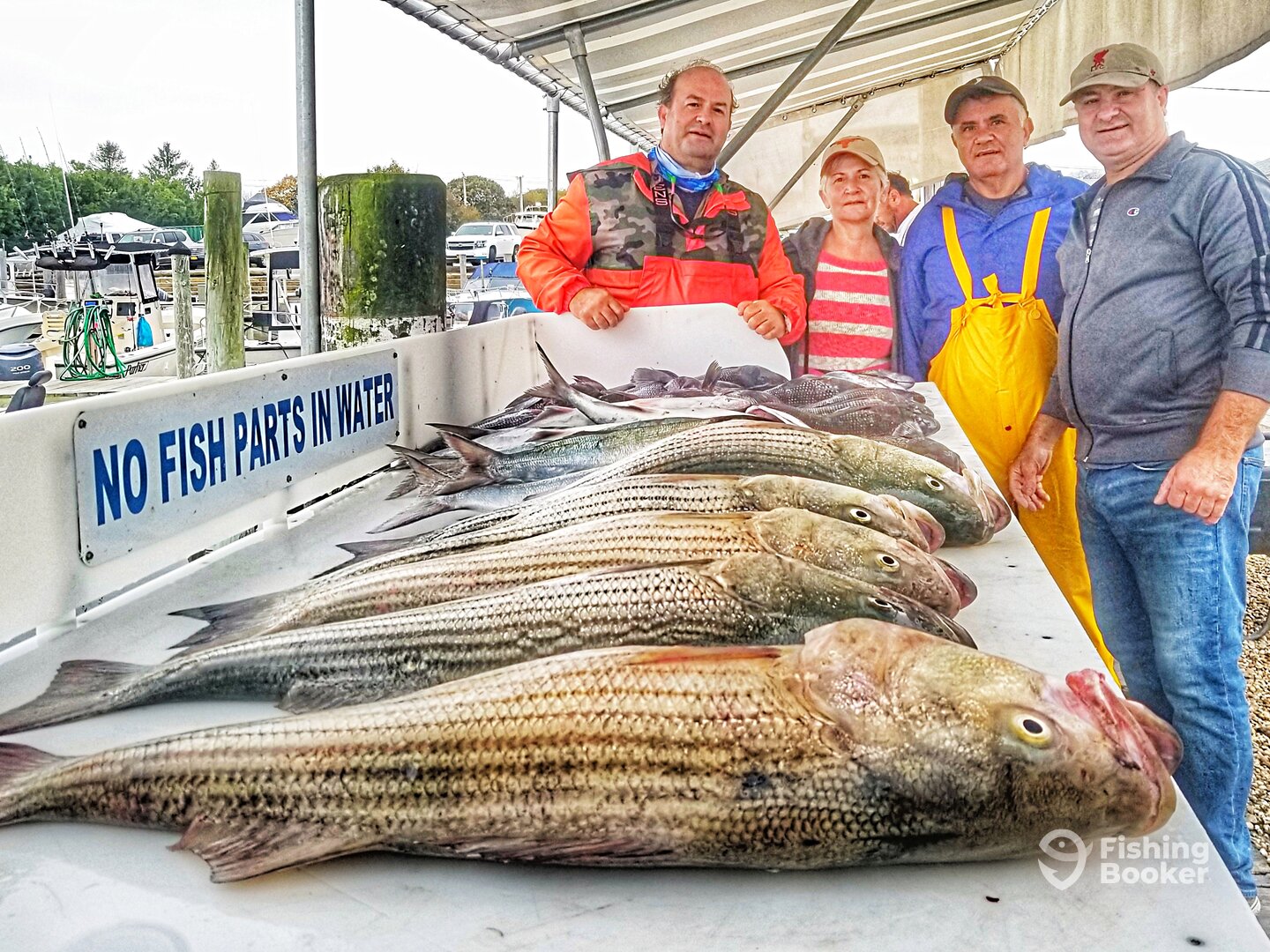 Montauk Report Photo 0