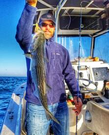 Montauk Report Photo 2