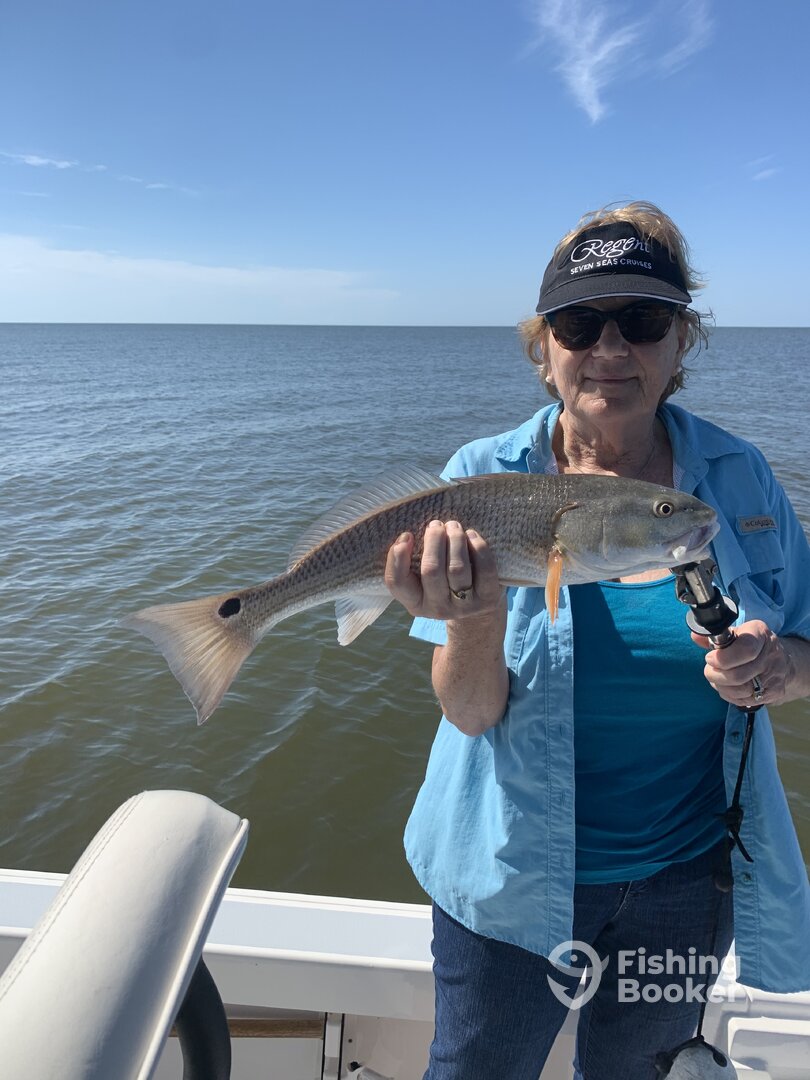 Marco Island Report Photo 0