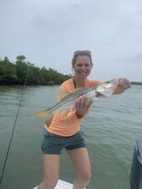 Marco Island Report Photo 2