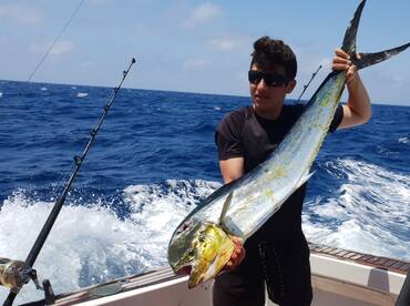 Sydney Report Photo 1