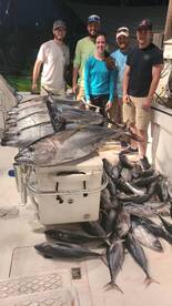 The tuna bite is on ? 