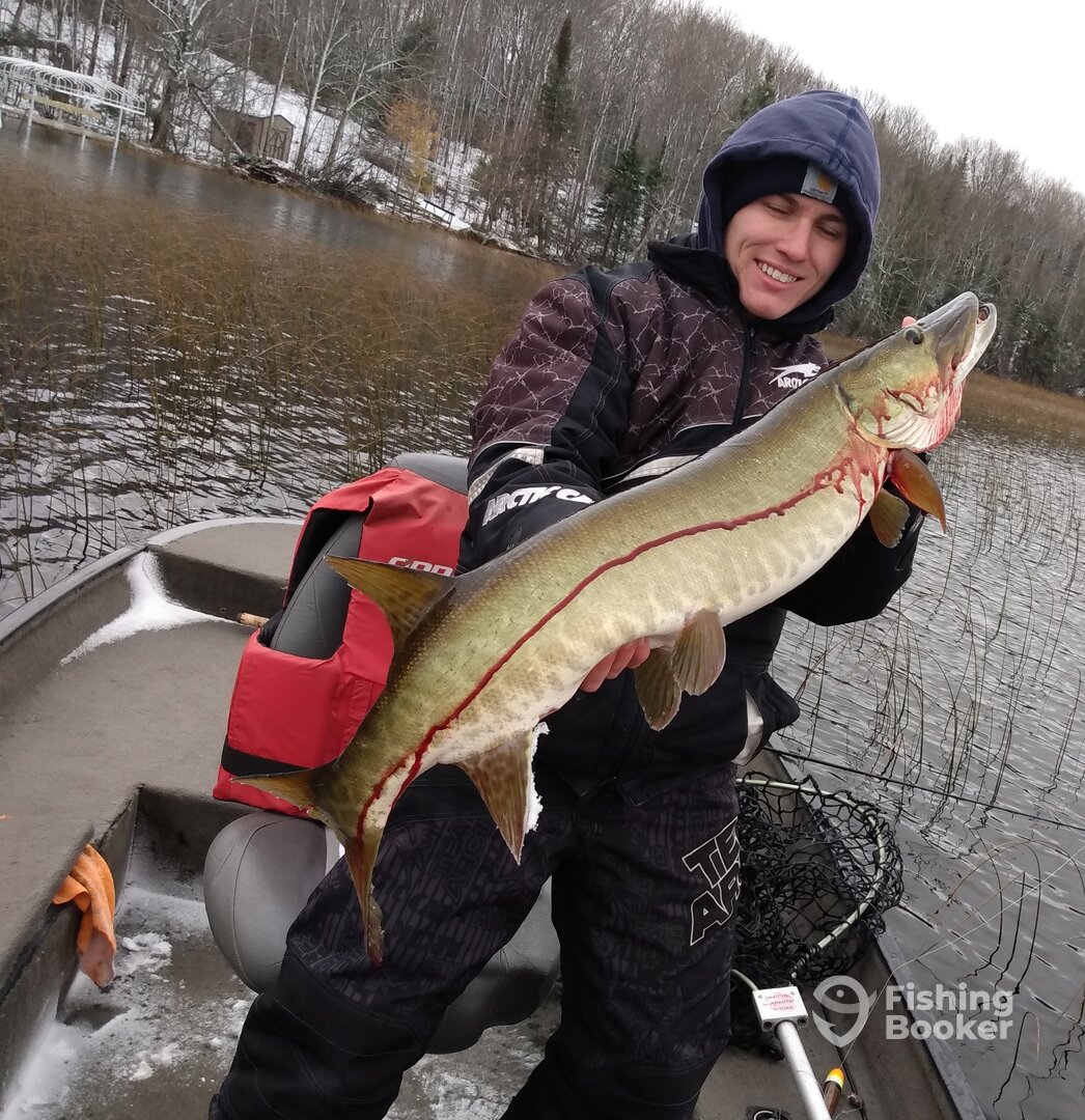 Nice October Muskie