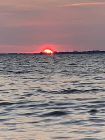 Bellevue Verslag Foto 2