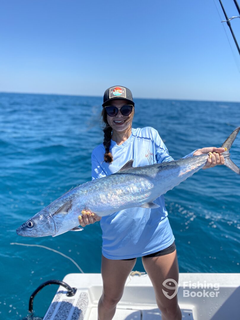 Sarasota Report Photo 0