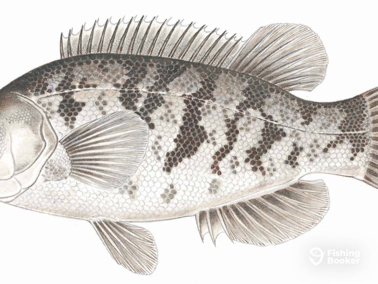 Scituate Report Photo 0