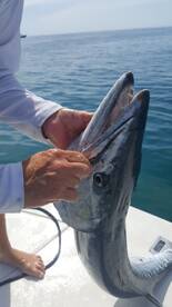 Jupiter Report Photo 2