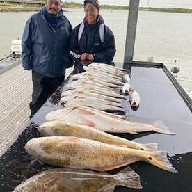 Cooler temperatures brings in the fish.