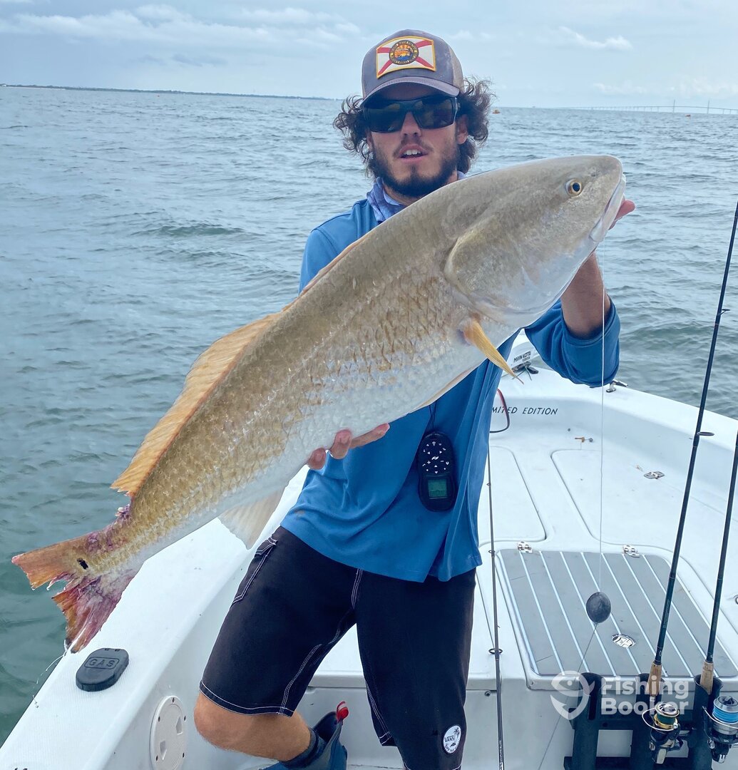 Sarasota Report Photo 0