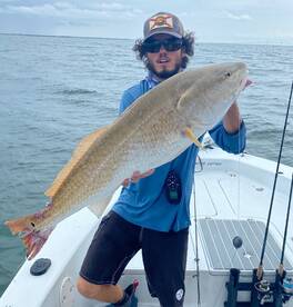 Grouper, Red fish and tuna 