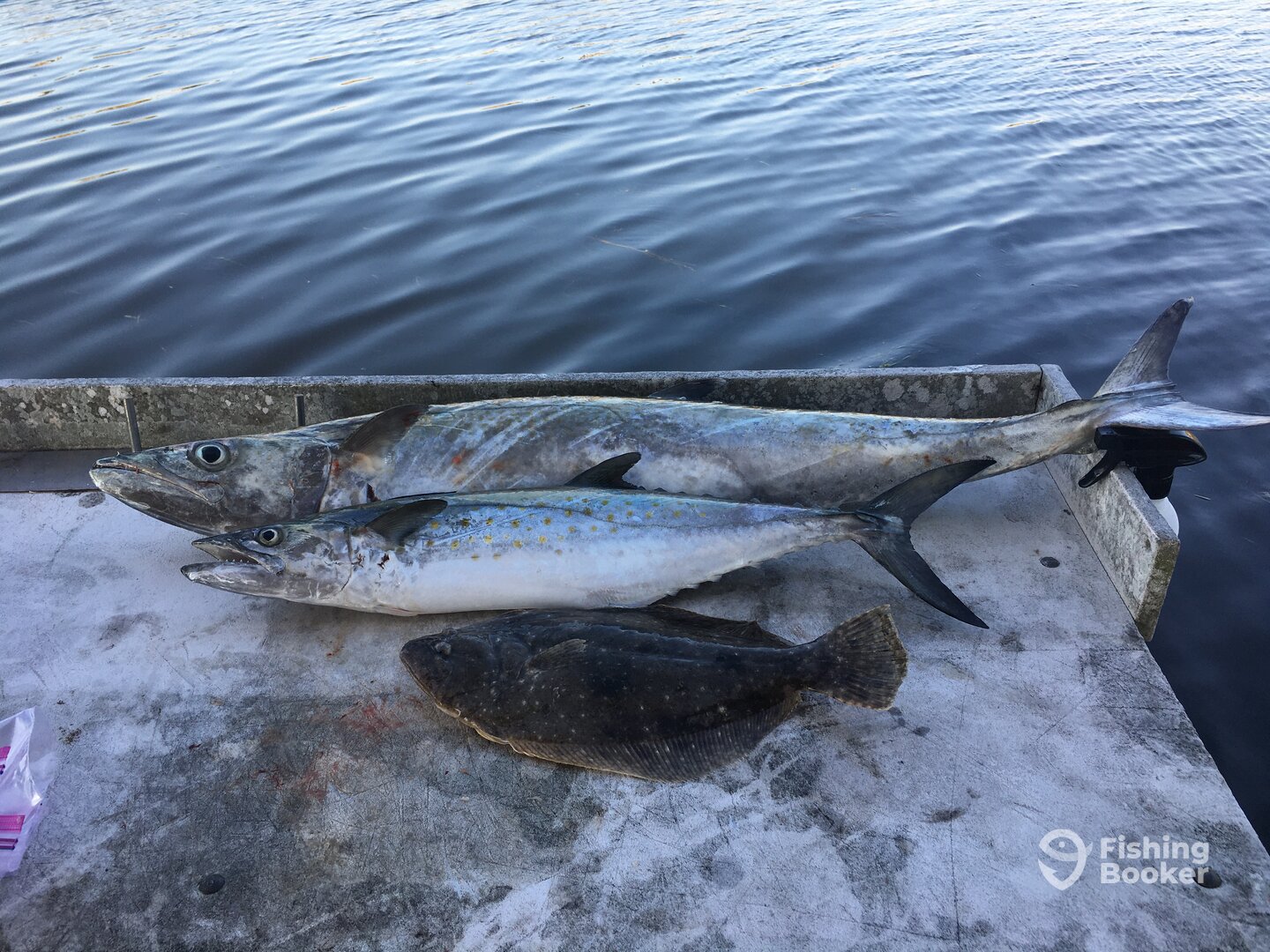 Crystal River Report Photo 0