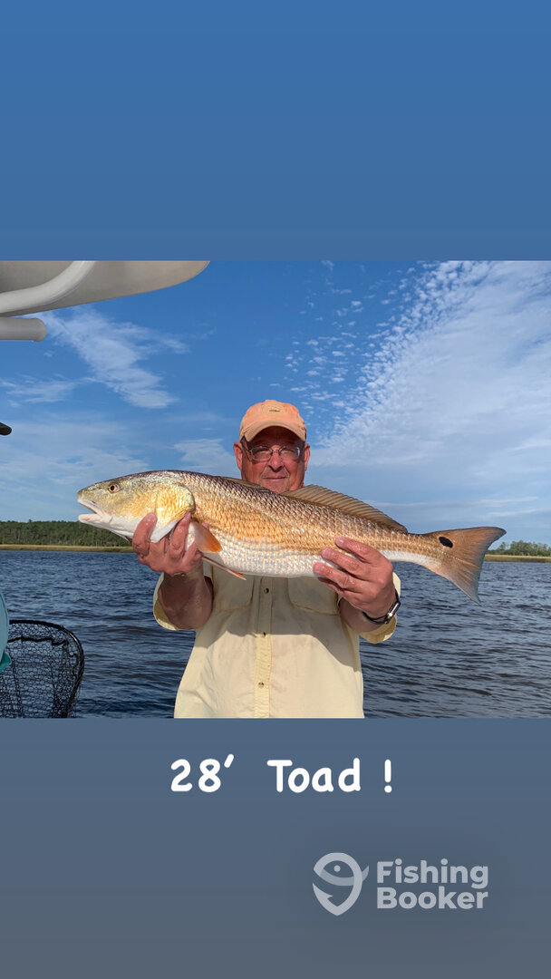 Mount Pleasant Report Photo 0