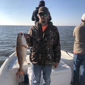 Big Reds in Shell Beach