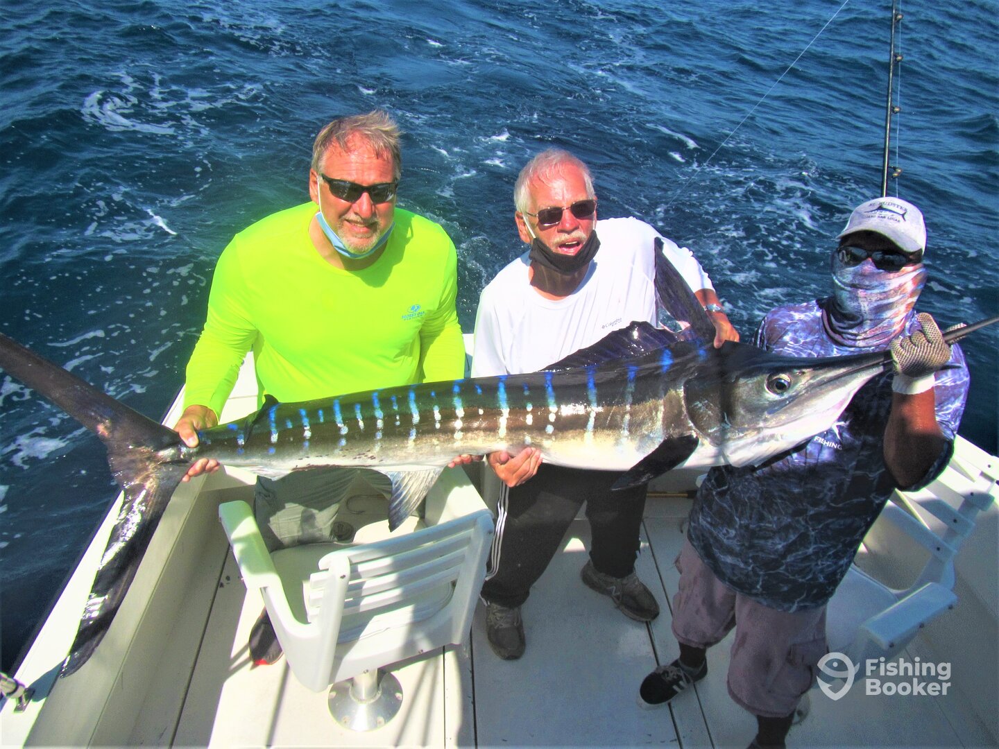 Cabo San Lucas Report Photo 0