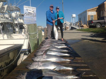 Awesome day of Tuna Catching!