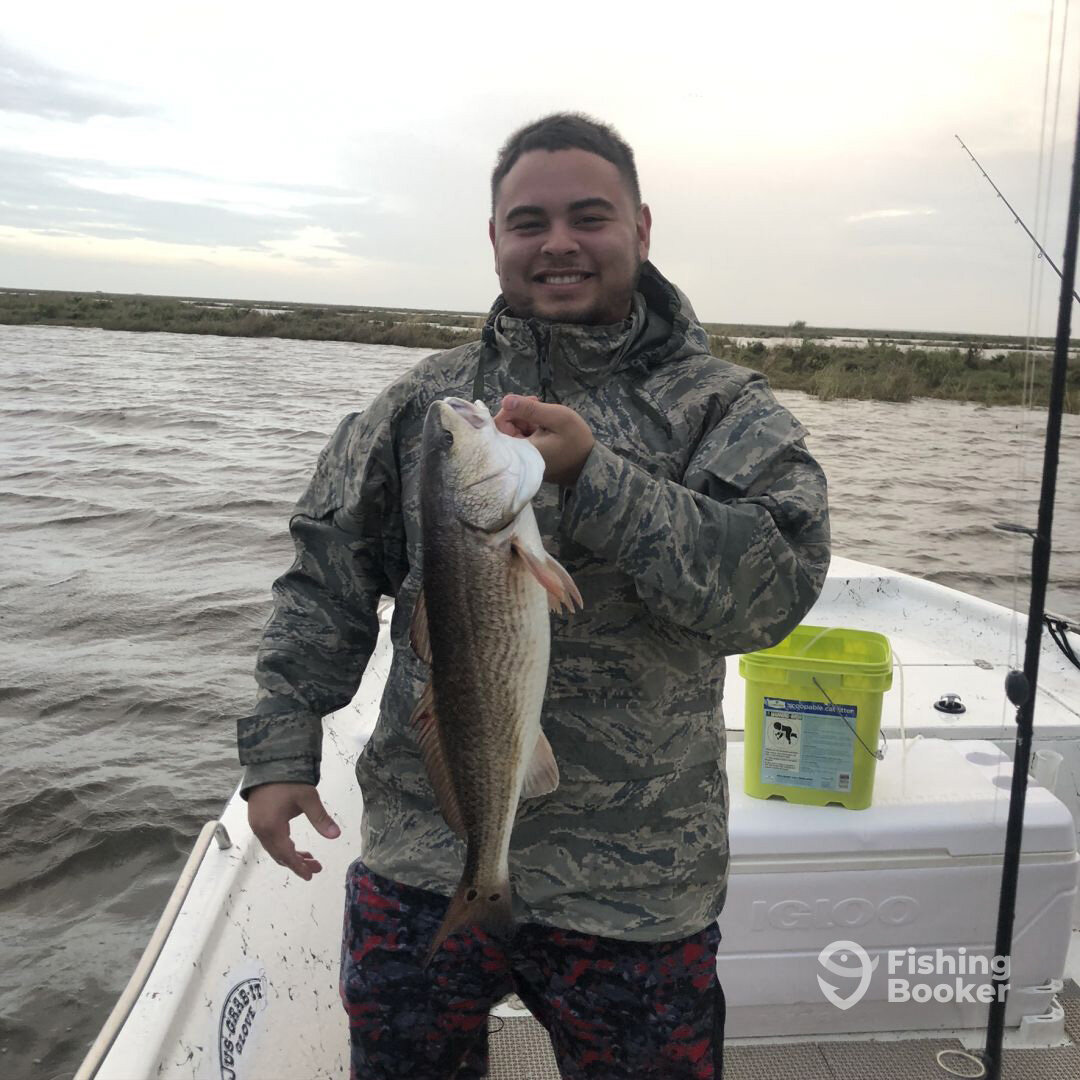 St. Bernard Report Photo 0