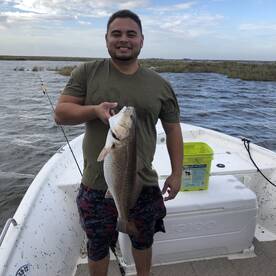 St. Bernard Report Photo 2