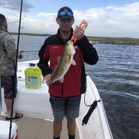 St. Bernard Report Photo 1