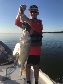 Grapevine Report Photo 2