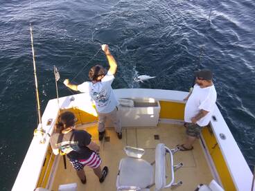 Wanchese Report Photo 2