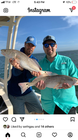 Sarasota Report Photo 2