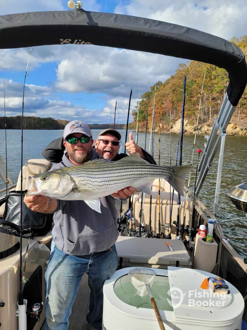 Cumming Report Photo 0