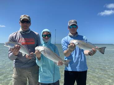 Big Pine Key Report Photo 1