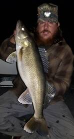 Wisconsin Walleyes are chowing! 