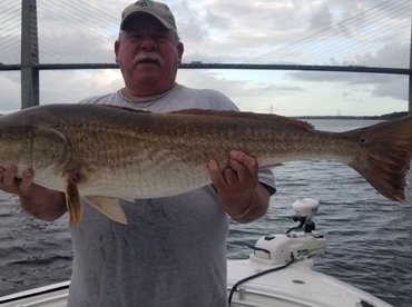 fall redfish in jacksonville