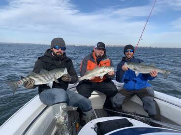 Non-Stop blufish and bass