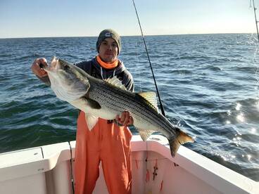 New York City Report Photo 2