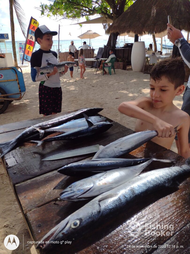 Playa Del Carmen Report Photo 0