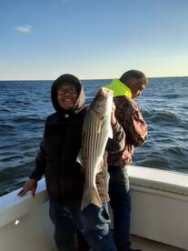 New York City Report Photo 1