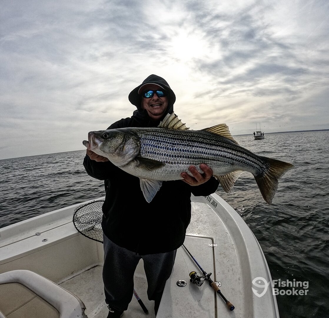 Solomons Report Photo 0