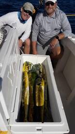 Fort Lauderdale Report Photo 2